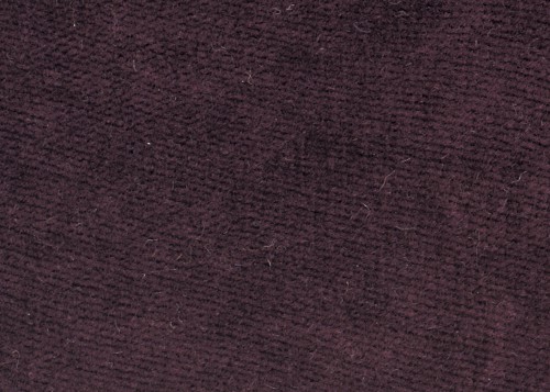 Plum Velvet